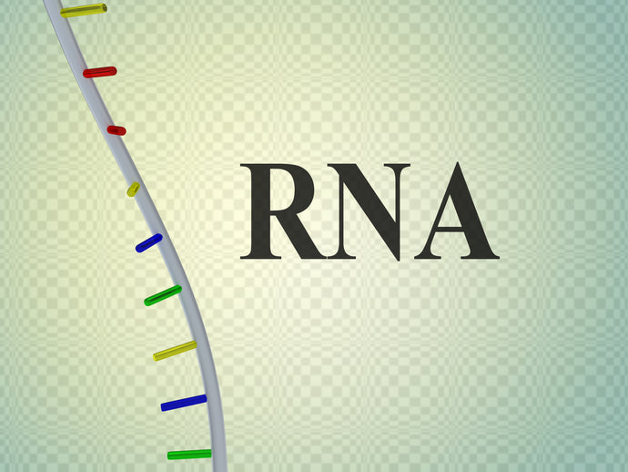 Using Nutrition to Target Disease